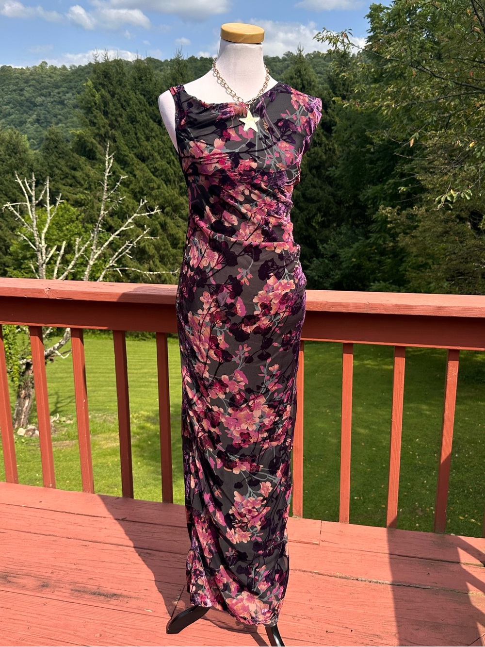NWT! Petal & Pup Genevieve Black Ruched Maxi Dress Velvet Floral Print